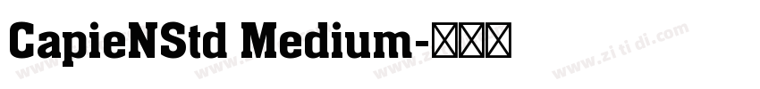 CapieNStd Medium字体转换